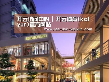 案例展示一(图1)