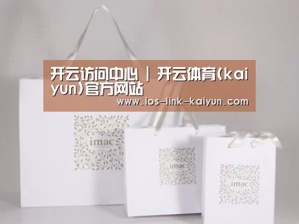项目名称十一