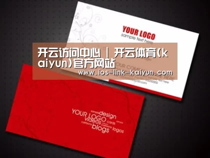 项目名称八