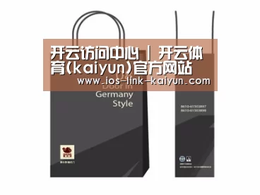 项目名称十四