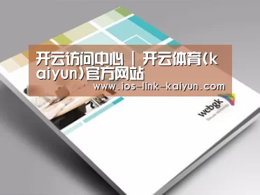 项目名称九