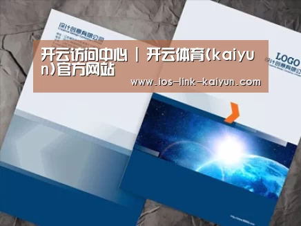 项目名称十