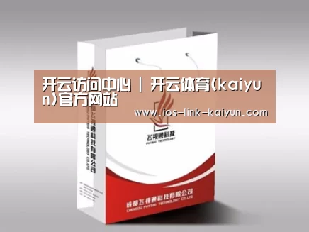 项目名称十三