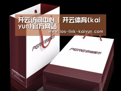 项目名称十二