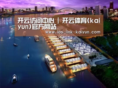 案例展示八