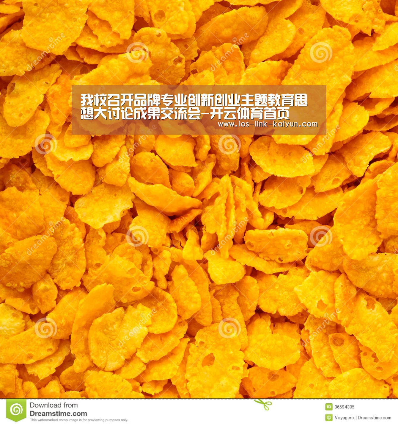 开云体育首页