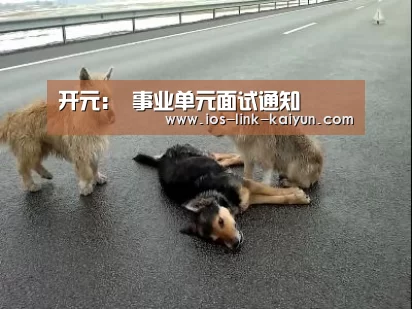 开元