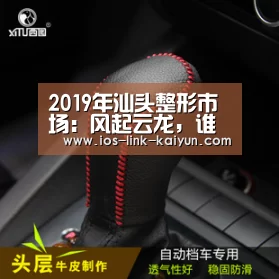 2019年汕头整形市场:风起云龙,谁会是品牌老大“开云体育首页”(图1) 开元