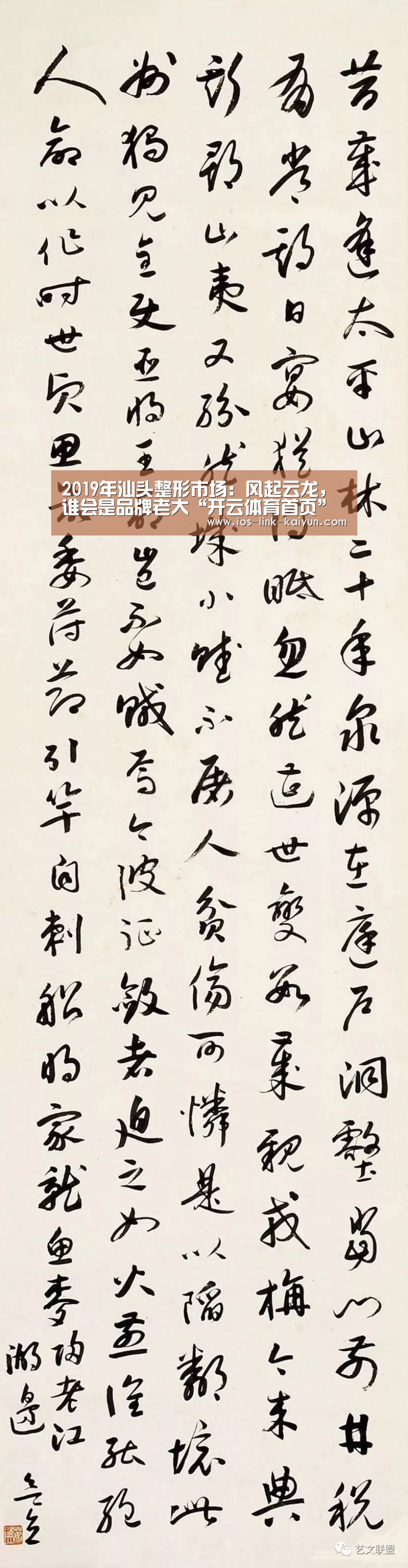 2019年汕头整形市场:风起云龙,谁会是品牌老大“开云体育首页”(图2) 开元