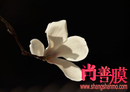 完美关系谭新凯是谁 卫哲疑吃醋反引达琳生气-开元(图4) 开元棋牌