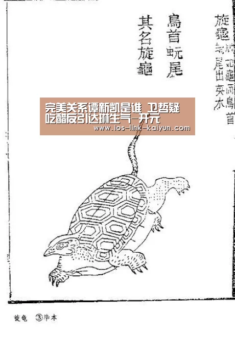 完美关系谭新凯是谁 卫哲疑吃醋反引达琳生气-开元(图2) 开元棋牌