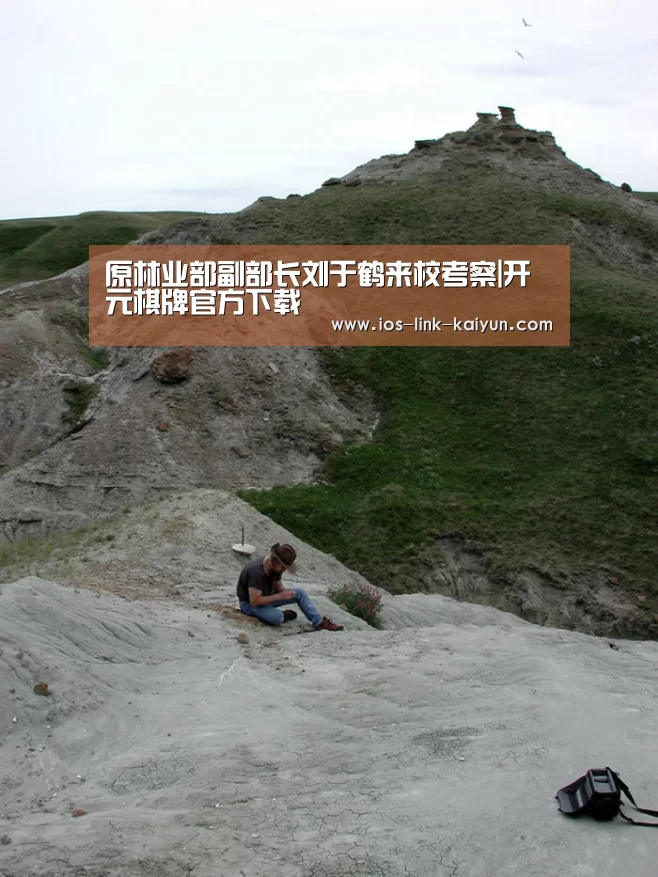 开云体育首页